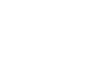 Evolution games at Robet 247 Casino